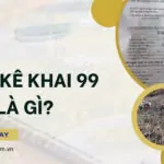 Giấy kê khai 99 là gì