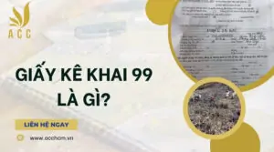 Giấy kê khai 99 là gì