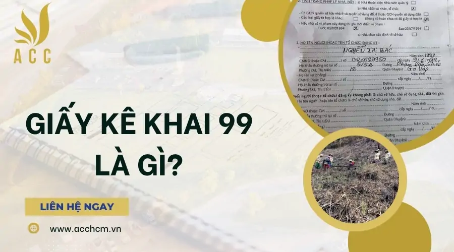 Giấy kê khai 99 là gì 