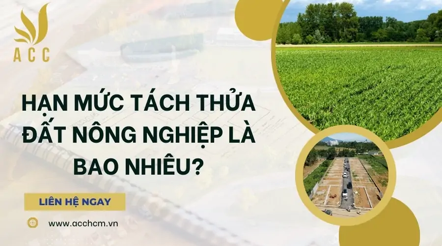 Hạn mức tách thửa đất nông nghiệp là bao nhiêu