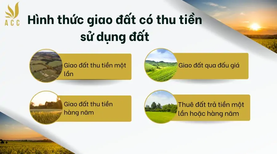 Hình thức giao đất có thu tiền sử dụng đất