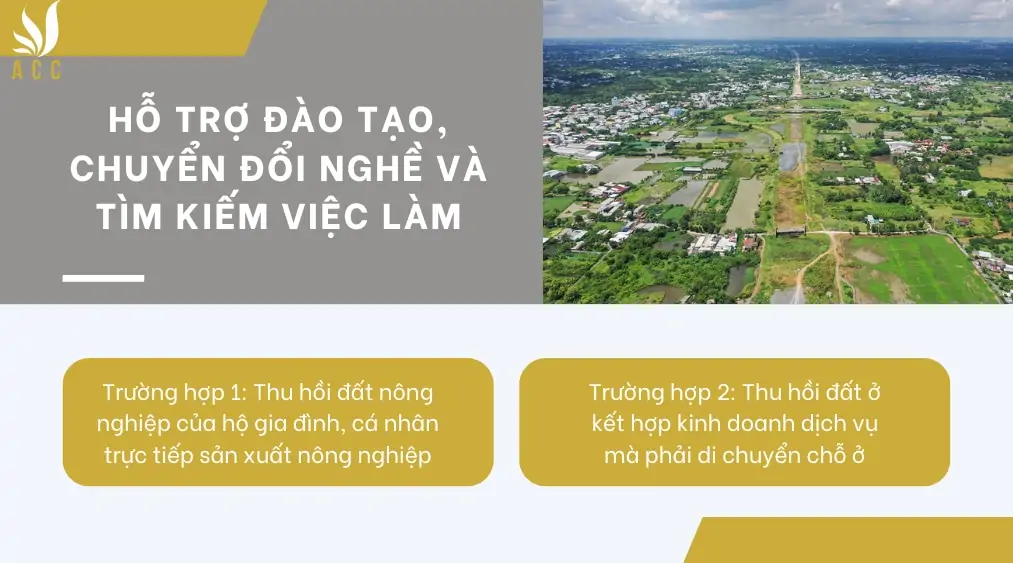 Hỗ trợ đào tạo, chuyển đổi nghề và tìm kiếm việc làm