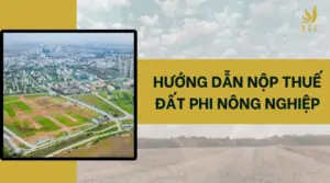 Hướng dẫn nộp thuế đất phi nông nghiệp