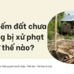 Lấn chiếm đất chưa sử dụng bị xử phạt như thế nào