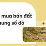 Lưu ý mua bán đất chung sổ đỏ