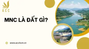 MNC là đất gì