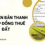 Mẫu biên bản thanh lý hợp đồng thuê đất