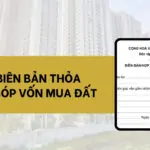 Mẫu biên bản thỏa thuận góp vốn mua đất