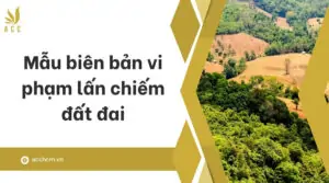 Mẫu biên bản vi phạm lấn chiếm đất đai