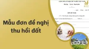 Mẫu đơn đề nghị thu hồi đất