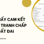 Mẫu giấy cam kết không tranh chấp đất đai