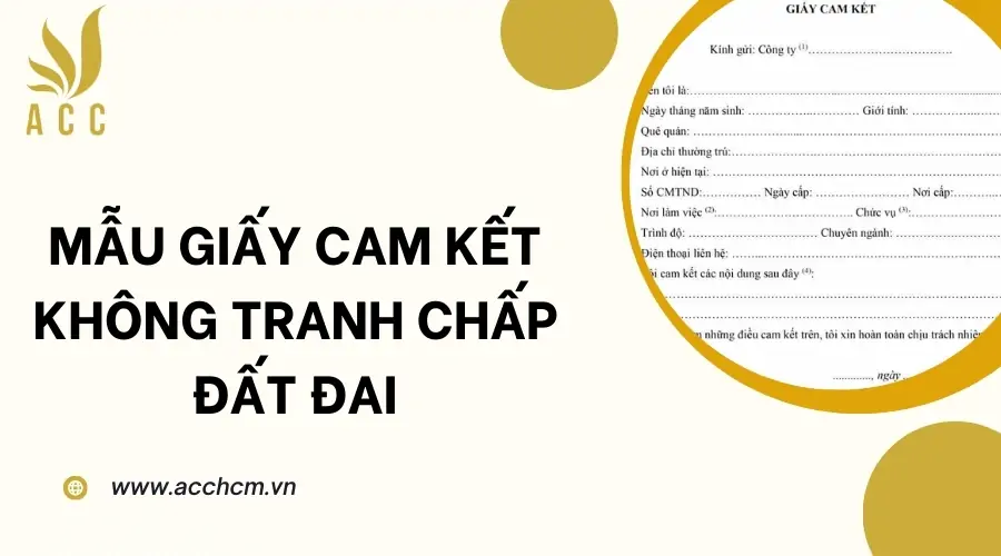 Mẫu giấy cam kết không tranh chấp đất đai