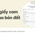 Mẫu giấy cam kết mua bán đất