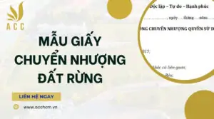 Mẫu giấy chuyển nhượng đất rừng