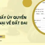 Mẫu giấy ủy quyền khiếu nại về đất đai