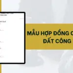 Mẫu hợp đồng cho thuê đất công ích