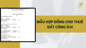 Mẫu hợp đồng cho thuê đất công ích