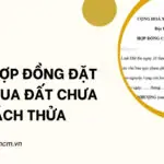 Mẫu hợp đồng đặt cọc mua đất chưa tách thửa