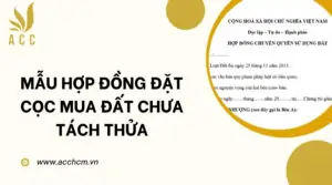 Mẫu hợp đồng đặt cọc mua đất chưa tách thửa