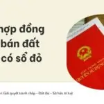 Mẫu hợp đồng mua bán đất chưa có sổ đỏ