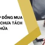 Mẫu hợp đồng mua bán đất chưa tách thửa