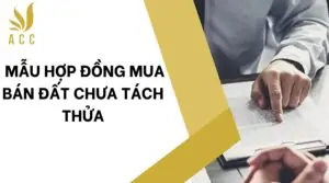 Mẫu hợp đồng mua bán đất chưa tách thửa