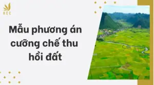 Mẫu phương án cưỡng chế thu hồi đất