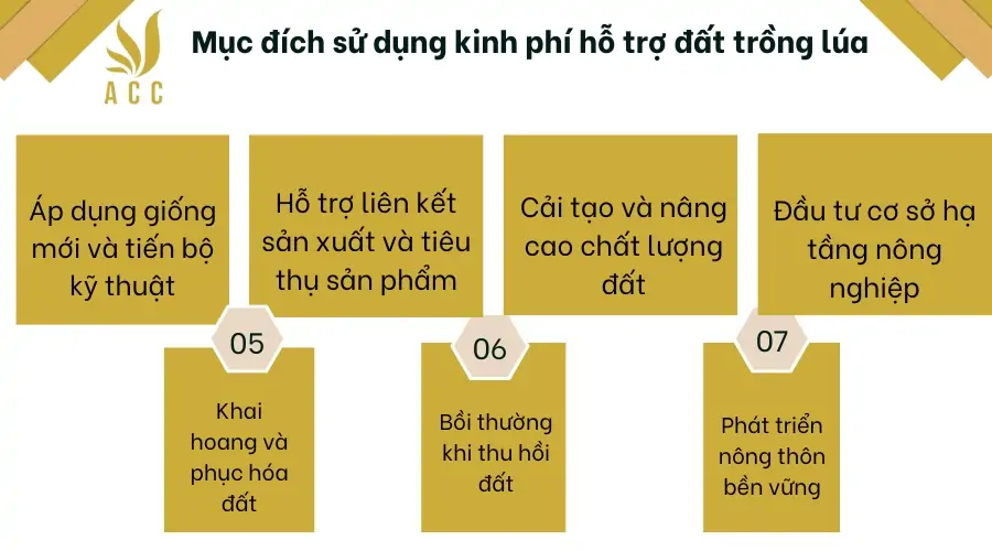 Mục đích sử dụng kinh phí hỗ trợ đất trồng lúa