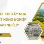 Mức phạt khi xây nhà trên đất nông nghiệp là bao nhiêu