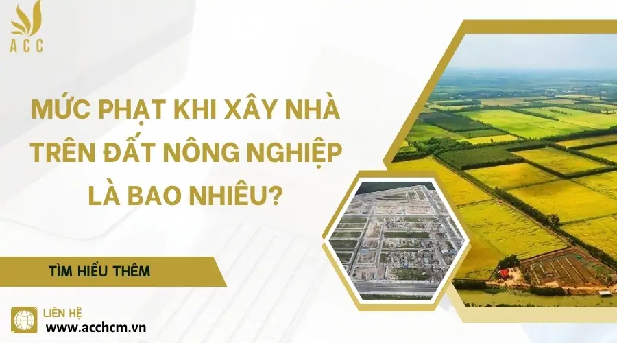 Mức phạt khi xây nhà trên đất nông nghiệp là bao nhiêu