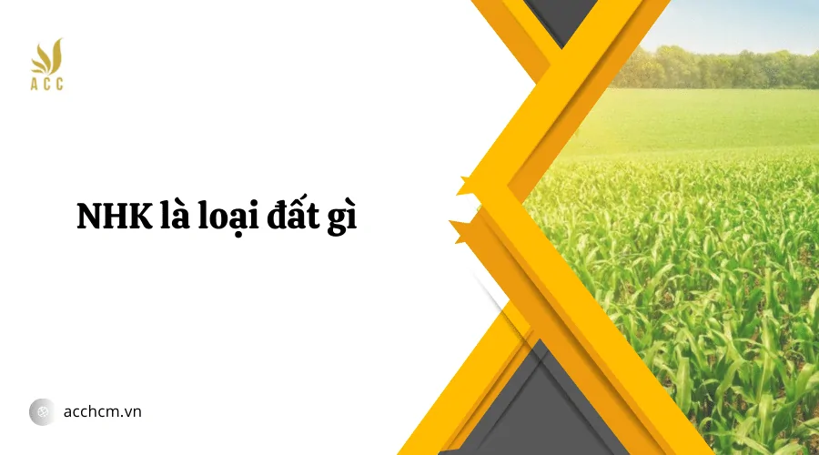 NHK là loại đất gì