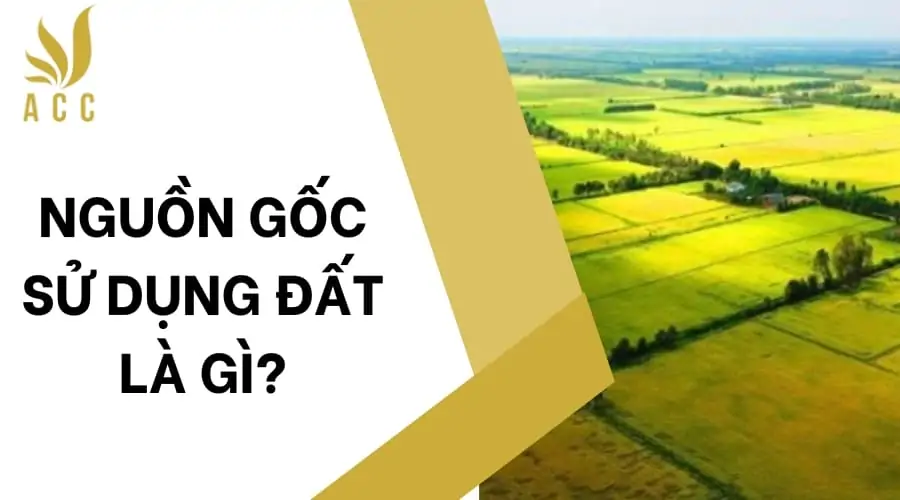 Nguồn gốc sử dụng đất là gì