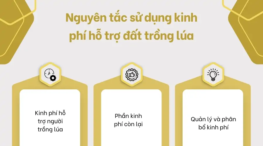 Nguyên tắc sử dụng kinh phí hỗ trợ đất trồng lúa