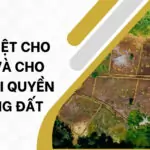 Phân biệt cho thuê và cho thuê lại quyền sử dụng đất