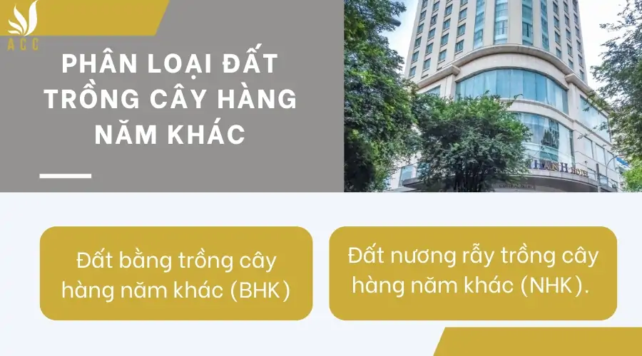 Phân loại đất trồng cây hàng năm khác