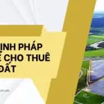 Quy định pháp luật về cho thuê đất