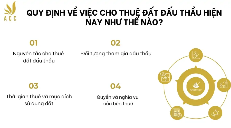 Quy định về việc cho thuê đất đấu thầu hiện nay như thế nào