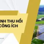 Quy trình thu hồi đất công ích