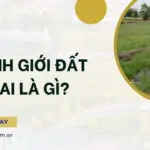 Ranh giới đất đai là gì