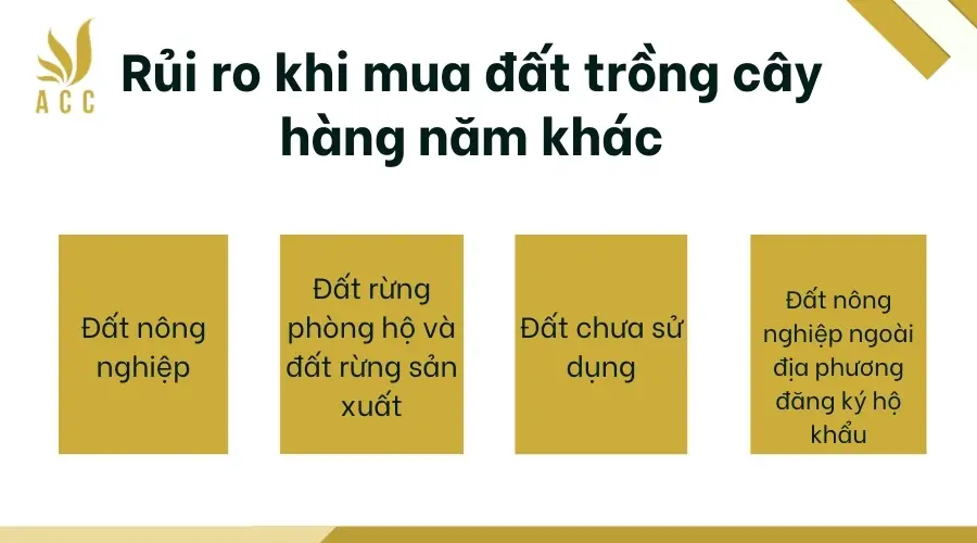 Rủi ro khi mua đất trồng cây hàng năm khác