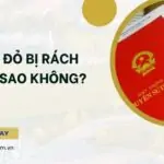 Sổ đỏ bị rách có sao không?