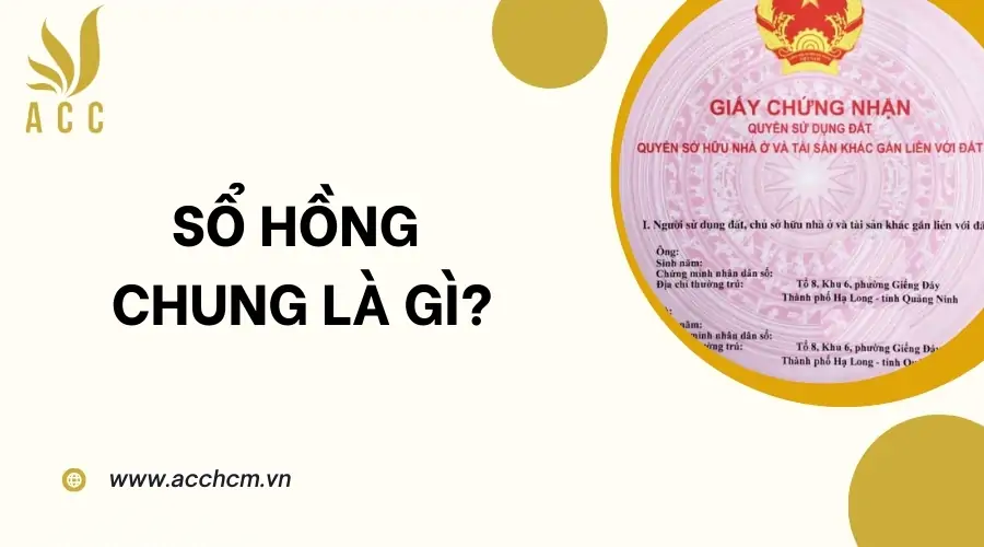 Sổ hồng chung là gì