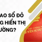 Tại sao sổ đỏ không hiển thị đường