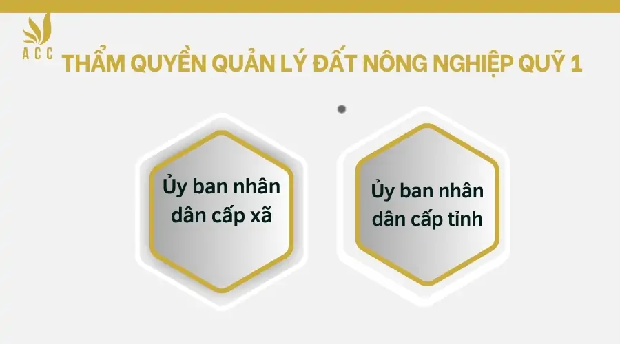 Thẩm quyền quản lý đất nông nghiệp quỹ 1