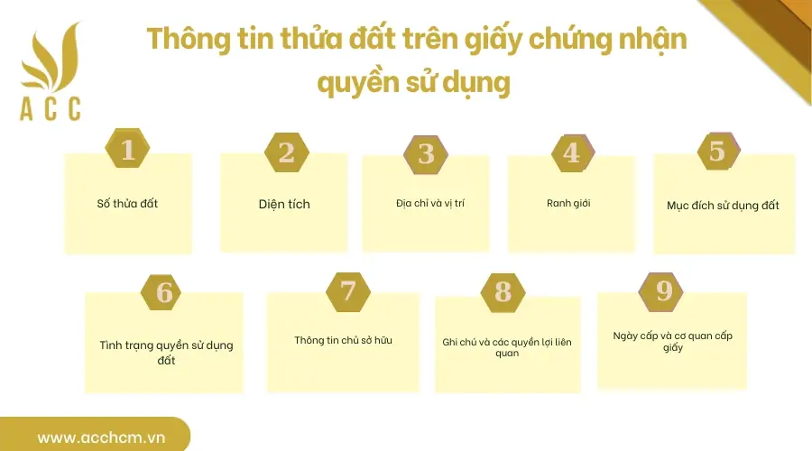 Thông tin thửa đất trên giấy chứng nhận quyền sử dụng 