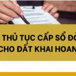 Thủ tục cấp sổ đỏ cho đất khai hoang