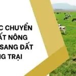 Thủ tục chuyển đổi đất nông nghiệp sang đất trang trại