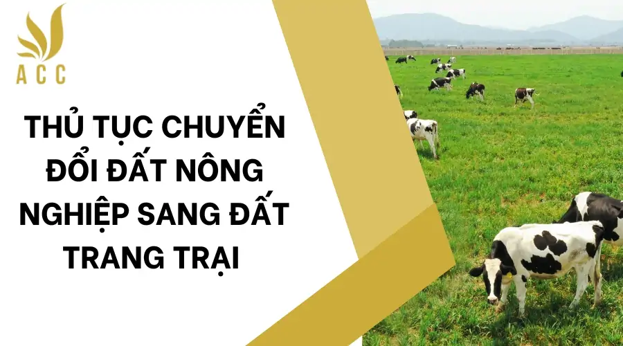 Thủ tục chuyển đổi đất nông nghiệp sang đất trang trại