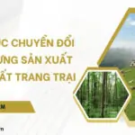 Thủ tục chuyển đổi đất rừng sản xuất sang đất trang trại