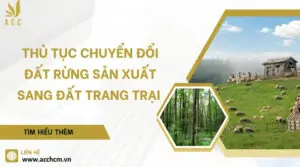 Thủ tục chuyển đổi đất rừng sản xuất sang đất trang trại